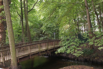 Tegler Fließ10.13_81