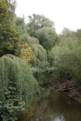 Tegler Fließ10.13_90