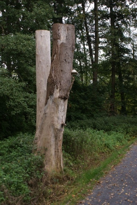 Tegler Fließ10.13_93