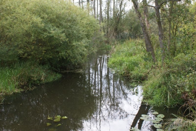 Tegler Fließ10.13_108