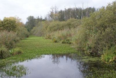 Tegler Fließ10.13_113