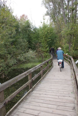 Tegler Fließ10.13_118