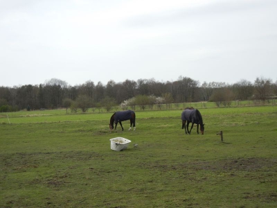 Eiskeller Spandau Berlin_03