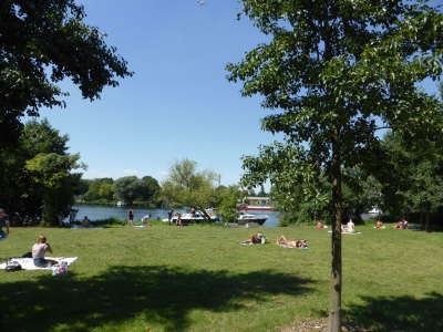 Insel Eiswerder 3115_10