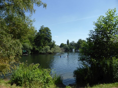 Insel Eiswerder 3115_15