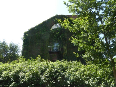 Insel Eiswerder 3115_17