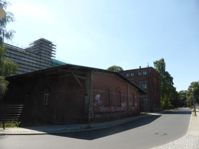 Insel Eiswerder 3115_18