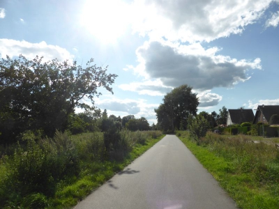 Spekte Viertel 3117_04