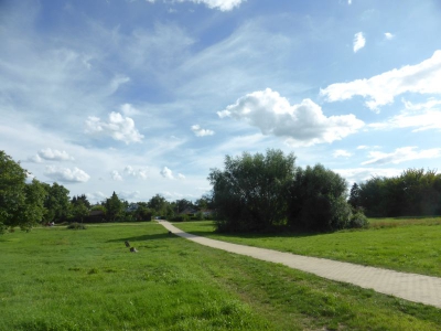 Spekte Viertel 3117_05