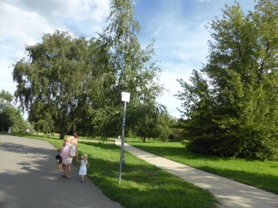 Spekte Viertel 3117_06