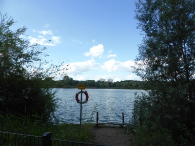 Spekte Viertel 3117_11