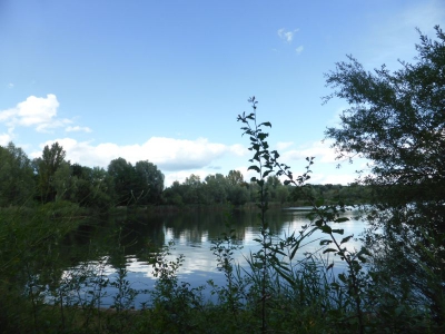 Spekte Viertel 3117_12