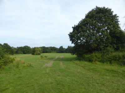 Spekte Viertel 3117_16