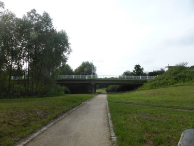 Spekte Viertel 3117_18