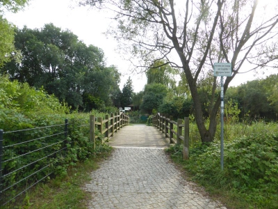 Spekte Viertel 3117_19