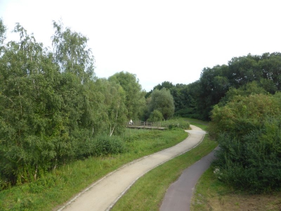 Spekte Viertel 3117_21