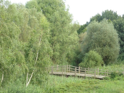 Spekte Viertel 3117_22