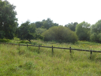 Spektewiesen 3217_02