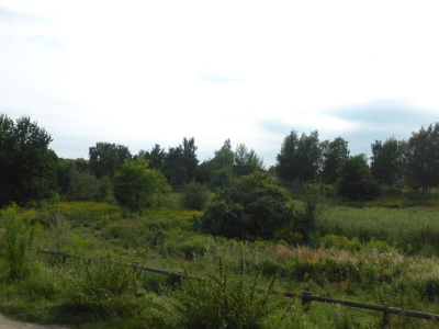 Spektewiesen 3217_05