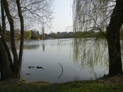 Grimnitzsee  Wilhelmstadt Berlin Spandau