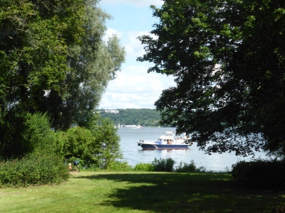 Waldstück Pichelsdorf 3117_03