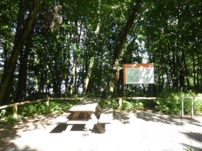 Waldstück Pichelsdorf 3117_04