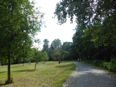 Waldstück Pichelsdorf 3117_08