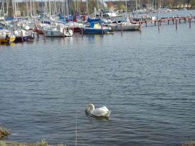 Hafen Scharfe Lanke Berlin Pichelsdorf_08