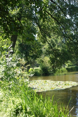 Im Südpark Spandau_03
