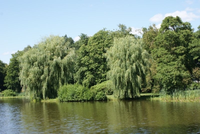 Im Südpark Spandau_06