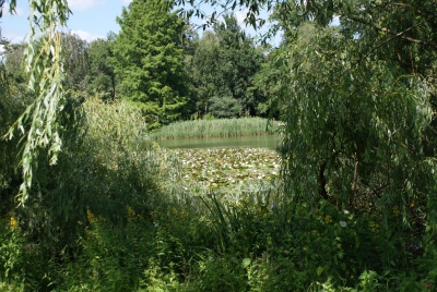 Im Südpark Spandau_09