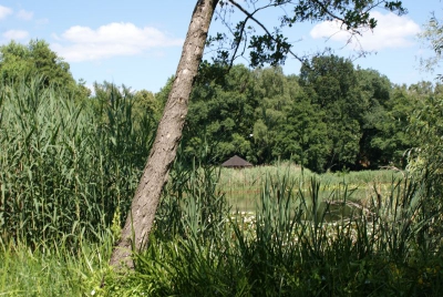 Im Südpark Spandau_10