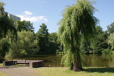 Im Südpark Spandau_12