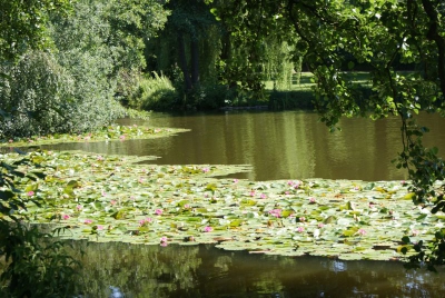 Im Südpark Spandau_21