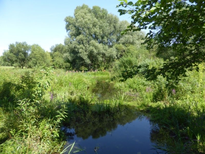 Tiefwerder Wiesen 3115_02