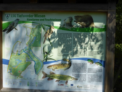 Tiefwerder Wiesen 3115_03