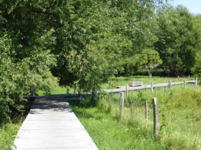 Tiefwerder Wiesen 3115_06