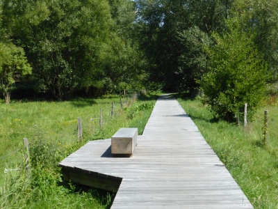 Tiefwerder Wiesen 3115_09