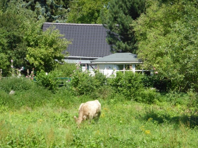 Tiefwerder Wiesen 3115_11