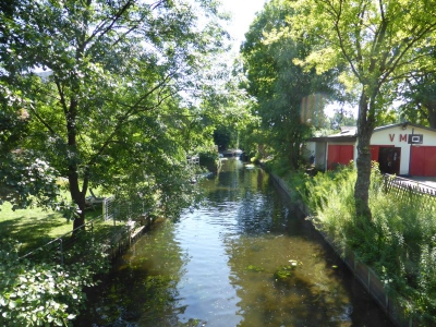 Tiefwerder Wiesen 3115_18