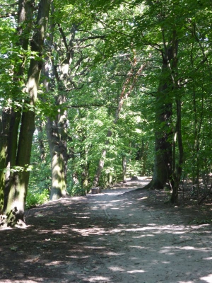 Tiefwerder Wiesen 3115_24