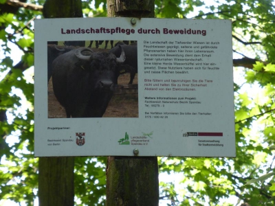 Tiefwerder Wiesen 3115_27