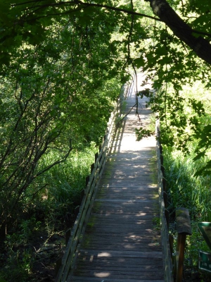 Tiefwerder Wiesen 3115_28