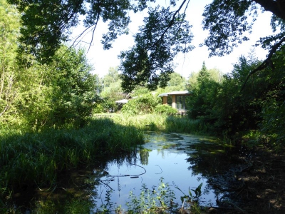 Tiefwerder Wiesen 3115_30