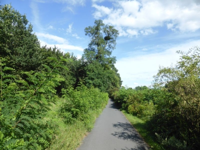 Gatower Heide 3117_02