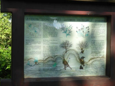 Gatower Heide 3117_04