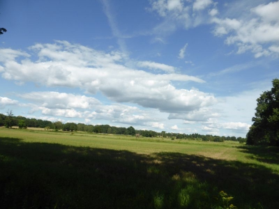 Gatower Heide 3117_05