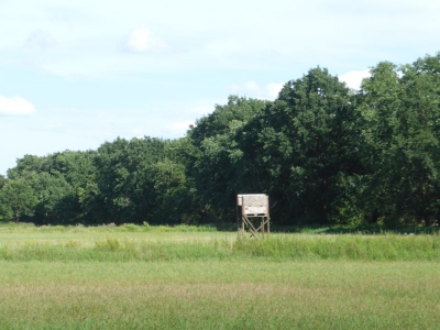 Gatower Heide 3117_07