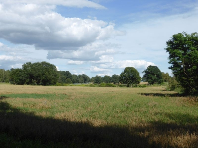 Gatower Heide 3117_08