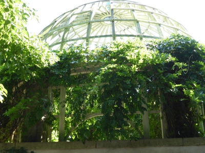 Villa Lemm Gatow Berlin 3115_05